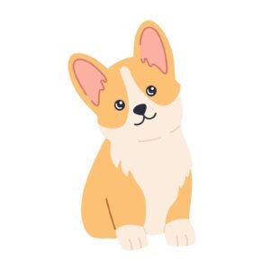 Pet products